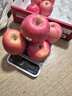 都乐Dole 烟台富士苹果8斤装 250g+ 果香怡人源头直发 包邮 水果 实拍图