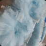妙洁一次性除尘掸鸡毛掸子 家用静电清洁吸灰汽车用扫灰掸子 掸头替换装5片*3包（不含柄） 实拍图
