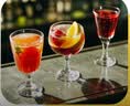 KAKTOS仙人掌【锋芒系列】梅洛干红酒 意大利 热门商品 750ml 实拍图