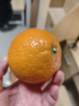 京鲜生【公益好物】川爷爷的爱媛38号果冻橙 净重4.5-5斤 单果120g＋ 实拍图