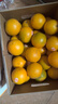 褚橙 云南冰糖橙  特级果 XL10斤装 单果约165g起 生鲜水果礼盒 实拍图