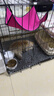 憨憨宠猫笼折叠猫笼子大号猫别墅加粗加密双层猫舍猫窝宠物猫咪用品家用 黑色 850双层 实拍图