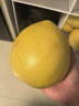 京鲜生 福建琯溪蜜柚 净重10斤 单果1.7斤起 源头直发【家庭分享装】 实拍图