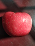 静宁苹果 【顺丰到家】甘肃红富士苹果水果 新鲜应季静宁苹果 净重5斤中果75mm 实拍图