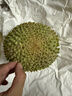 京鲜生马来西亚D197猫山王榴莲4.5-5斤保5房新鲜冷冻水果 实拍图