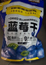 三只松鼠每日蓝莓干500g 蜜饯果干酸甜休闲零食下午茶孕妇儿童健康零食 实拍图