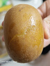 佳沛（zespri）新西兰  阳光金奇异果10粒礼盒巨大果单果约144-175g 水果 猕猴桃 实拍图