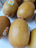 佳沛（zespri）新西兰阳光金果6个装巨大果单果144-175g水果猕猴桃源头直发 实拍图