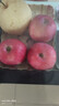 陇原红【顺丰到家】静宁苹果甘肃红富士苹果新鲜孕妇水果源头直发包邮 手工精选|5斤70-75mm净重4斤宝宝果 实拍图