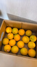 褚橙 云南冰糖橙  优级果 L 10斤装 单果约130g起 生鲜水果礼盒 实拍图