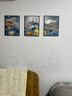莫小邪北欧客厅装饰画三联沙发背景墙挂画现代简约大气餐厅壁画卧室墙画 前程似锦 30*40cm 9mm布纹膜三联画黑边 实拍图