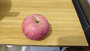 京鲜生山东烟台红富士苹果 净重9斤 单果75-80mm生鲜水果 源头直发 包邮 实拍图