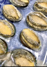 江船长 冷冻大鲍鱼 净重400g 10粒袋装 火锅食材 烧烤 贝类生鲜  实拍图