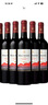 玛安蒂（MAS ANDES）雄鹰干红葡萄酒750ml*6 整箱装 智利原瓶进口 采销优选 1号会员店 实拍图