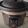 九阳（Joyoung）电炖锅电炖盅电砂锅炖汤盅煲汤锅多功能锅紫砂锅燕窝炖盅煮粥锅直炖4L大容量 可预约保温GD410 实拍图