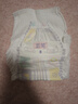 五羊（FIVERAMS）拉拉裤薄薄芯成长裤XXXXL72片(21kg以上)婴儿尿不湿超薄透气不闷 实拍图