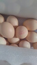 德青源鲜鸡蛋 无抗生素无激素  优质蛋白 营养早餐 生鲜鸡蛋 农场鲜供 舌尖攻略谷饲40枚1.72kg 实拍图