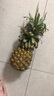 广东徐闻香水菠萝新鲜水果生鲜热带孕妇水果整箱包邮 【限时低价】1个装  单果650g起 实拍图