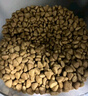皇家室内成猫粮 I27 通用粮 12月以上 10KG 实拍图