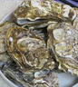 鲜京采 鲜活生蚝4XL 净重5斤 10-13只 鲜活到家 生鲜海鲜 源头直发 实拍图