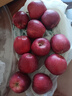 京鲜生 甘肃天水花牛苹果 又大又红 净重4斤 单果160g起  新鲜水果  实拍图