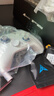 飞智冰原狼4多模版无线游戏手柄 类xbox 力调节摇杆双切扳机 switch电脑PC手机steam体感NS 丝之歌 实拍图