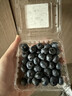 山姆大叔 蓝莓巨无霸【空运-多地次日达】新鲜鲜果水果礼盒年货节送礼 【超甜·特大果| 金标】18mm+ 125g*4盒装【巨划算-80%人选】协会推荐* 净400g 实拍图