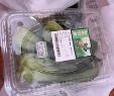 【24小时菜】富硒小油菜200g 实拍图