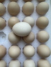 京鲜生【每日鲜蛋】无抗谷物鸡蛋30枚 3.18斤 当日产蛋 当日发货 实拍图
