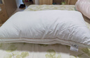 水星家纺枕头枕芯酒店枕头护颈枕头芯家用单个纯棉抗菌可水洗低枕48x74cm 实拍图