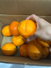 江西赣南早脐橙整箱当季新鲜早橙子榨汁水果礼盒皮薄多汁节日团购 【90%人选】净重9斤单个200g+ 实拍图