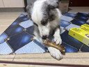 疯狂小狗宠物狗狗零食磨牙牛骨头金毛中大型犬洁齿耐啃 风干牦牛骨170g 实拍图