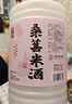 浙一家 杨梅米酒2.5L 3-9度 微醺米酒甜酒花果酒 湖州老字号 实拍图