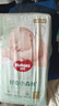 好奇（Huggies）小森林纸尿裤S62片(4-8kg)尿不湿心钻【透氧顶配更低敏】 实拍图