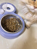 甜浪海猫碗双碗自动喂食器不锈钢狗盆幼猫吃饭喝水防打翻饮水机宠物食盆 实拍图