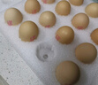 德青源A级鲜鸡蛋32枚2.74斤起无抗生素 谷物喂养  营养早餐家庭礼盒 实拍图