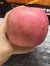 京鲜生 山东烟台红富士苹果 5斤装单果80-85mm 生鲜水果 源头直发 包邮 实拍图
