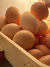 京喜加土鸡蛋 新鲜鸡蛋山林自养 生鲜溏心蛋 卤蛋早餐京东买菜40g正负5g 10枚装总重400g+ 实拍图