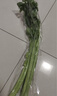 【24小时菜】大芹菜约400g 实拍图