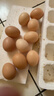 京喜加 谷物喂养初产新鲜鸡蛋40g正负5g生鲜超市买菜早餐土鸡蛋草鸡蛋 10枚 实拍图