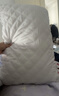 洁丽雅（Grace）纯棉A类纤维枕枕头枕芯双人成人高弹羽丝绒枕头芯 一对装 46*72cm 实拍图