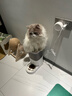 霍曼（Homerun）Real智能自动喂食器猫粮狗粮定时猫咪自动投食器（配陶瓷碗） 实拍图
