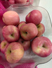 京鲜生 烟台红富士苹果 净重10斤  单果160g以上 水果礼盒 实拍图