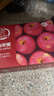 京鲜生 烟台红富士苹果 净重5斤  单果190g起 水果礼盒 实拍图