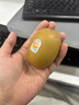 佳沛（zespri）新西兰  阳光金奇异果10粒礼盒巨大果单果约144-175g 水果 猕猴桃 实拍图