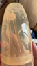 婴幼儿硅胶舌苔牙刷宝宝乳牙舌苔清洁器口腔清洁不伤肤手指牙刷 【刷舌苔】舌苔刷*2+漱口杯 实拍图