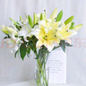 悦多彩AB级优质香水百合 家庭办公室各色生活鲜花 昆明基地 现采直发 黄色百合10朵（双头5枝） 实拍图