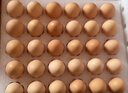 京鲜生鲜鸡蛋20枚/盒 健康轻食 营养健康 2斤/盒 源头直发  实拍图