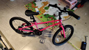 途锐达铝合金超轻儿童自行车6-12岁女孩脚踏车小学生女童单车20寸蔷薇粉 实拍图