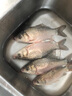川泽子线双钩狼牙鱼钩竞技黑坑防缠绕鱼钩绑好套装钓鱼钩成品全套渔具 竞技狼牙【细条】钩6;线0.6-0.8 20付成品套装 实拍图